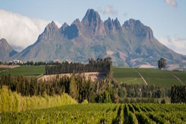 Stellenbosch Tourism Information