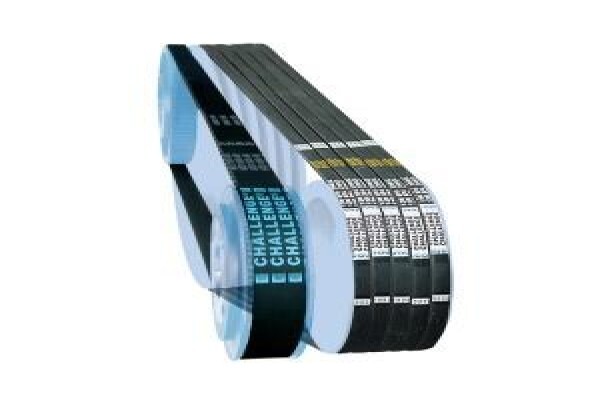 Challenge Power Transmission (Africa) (Pty) Ltd