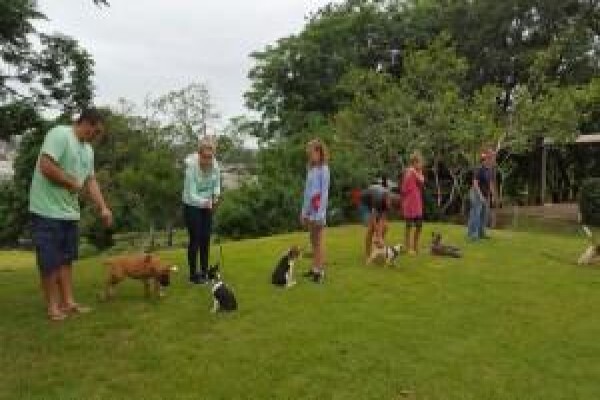Ralun Kennels & Cattery