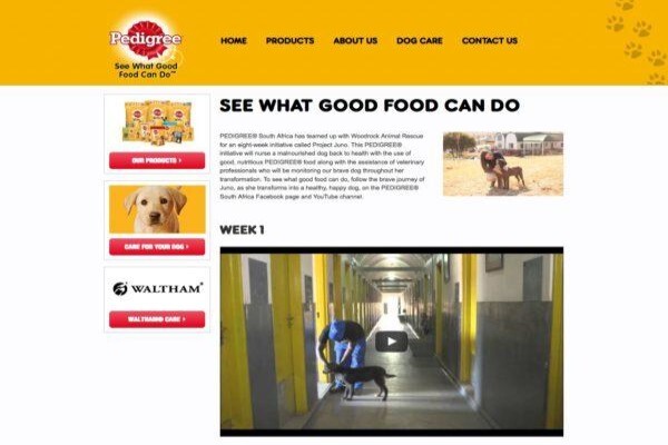 Network Bbdo