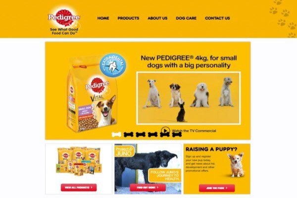 Network Bbdo