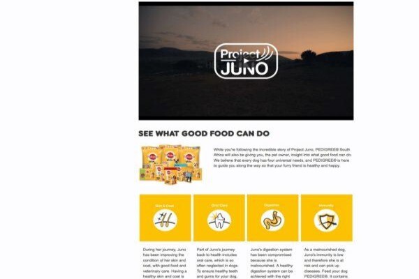 Network Bbdo