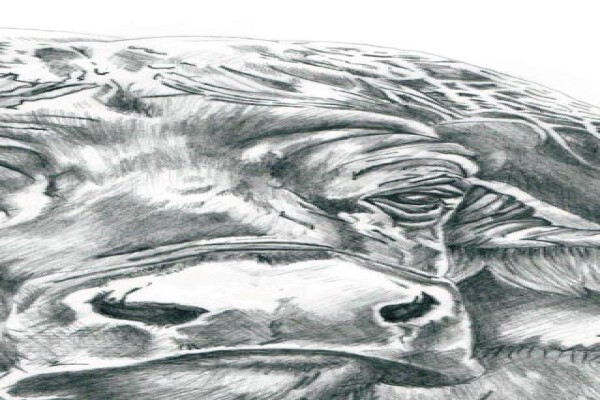 Interstate Bus Lines:FreeCall