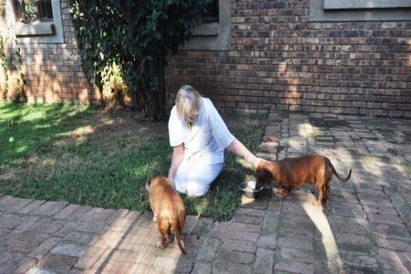 Berg & Dal Kennels & Cattery