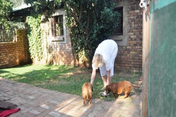 Berg & Dal Kennels & Cattery