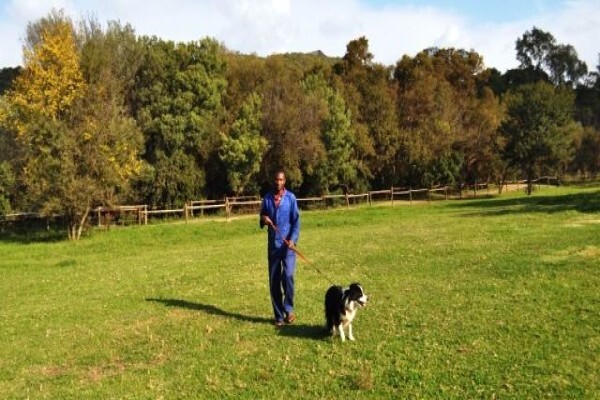 Berg & Dal Kennels & Cattery