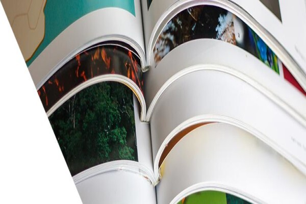Kemtek Imaging Systems Ltd