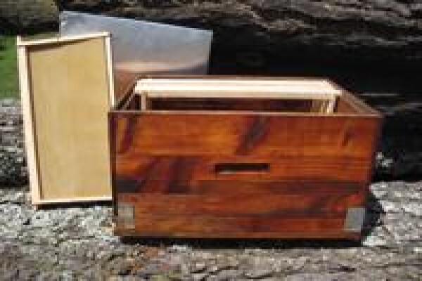 Menno's Bee Removals