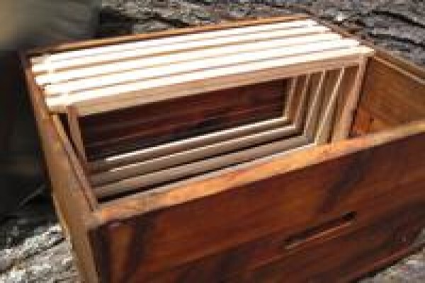 Menno's Bee Removals