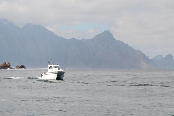 Magson Marine Yamaha