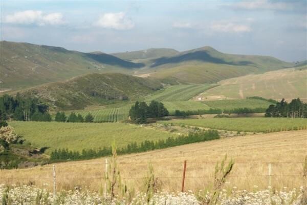 Sedgefield Photo Lab