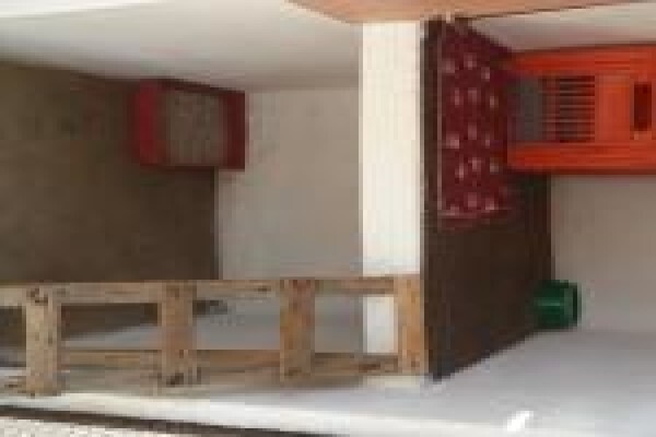 Villa Siesta Pet Retreat