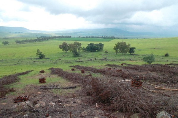 Venter Forestry CC