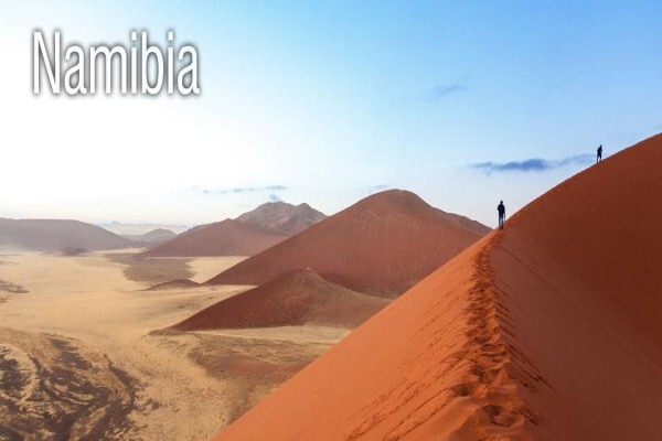 Field Africa