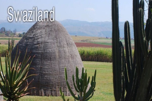 Field Africa