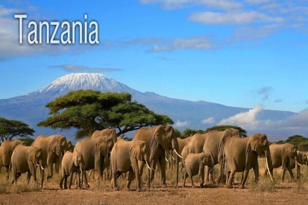 Field Africa