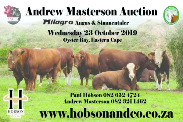 Hobson & Co