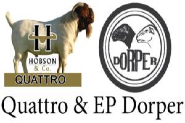 Hobson & Co