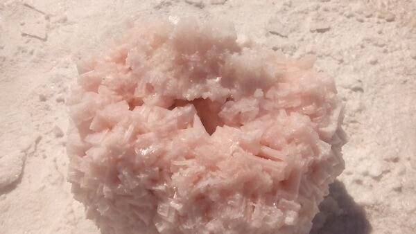 Velddrif Salt Co (Pty) Ltd