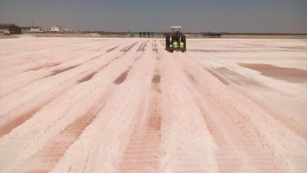 Velddrif Salt Co (Pty) Ltd