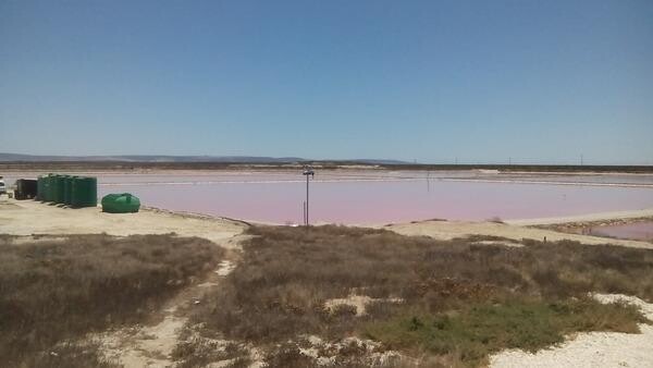 Velddrif Salt Co (Pty) Ltd