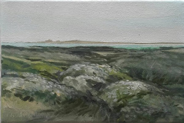Cape Palette