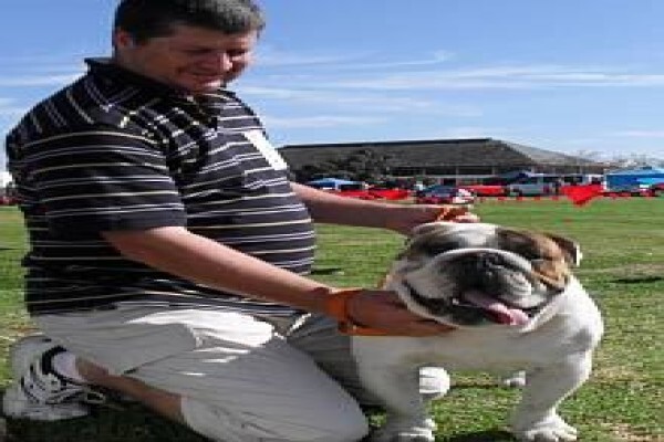 Pets Place Kennels