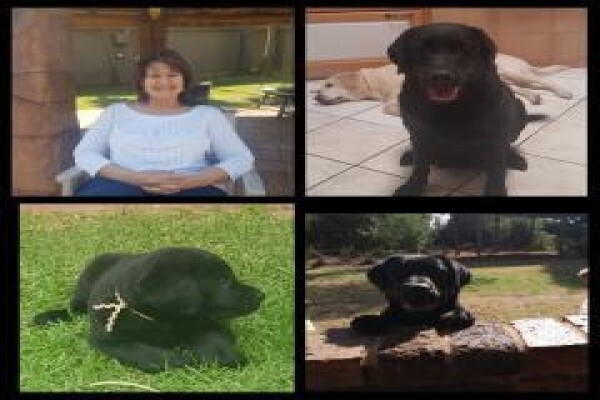 Pets Place Kennels