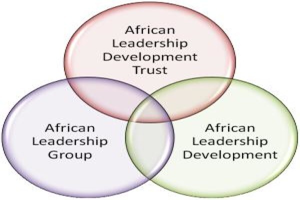 African Leadership Group (Pty) Ltd