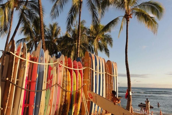 Surfers Kite & Surf Shop