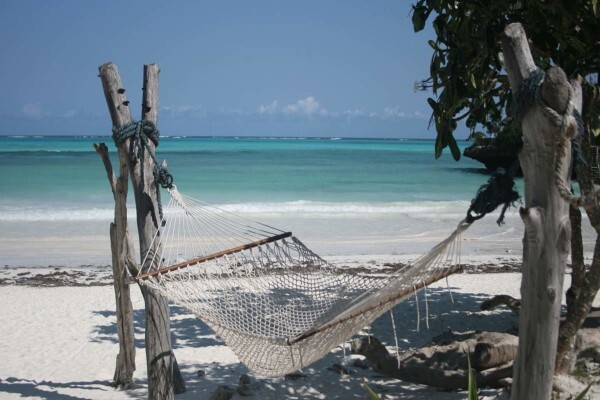 Surfers Kite & Surf Shop