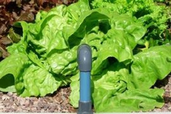Flowgrow Hydroponics (Pty) Ltd