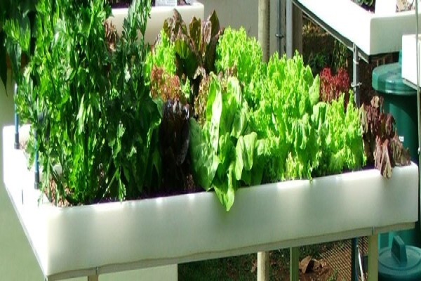 Flowgrow Hydroponics (Pty) Ltd