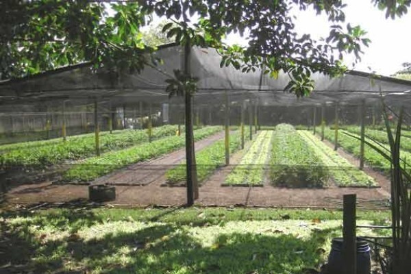 Flowgrow Hydroponics (Pty) Ltd