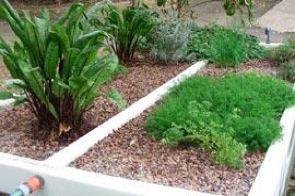 Flowgrow Hydroponics (Pty) Ltd