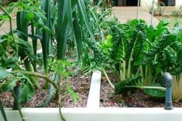 Flowgrow Hydroponics (Pty) Ltd