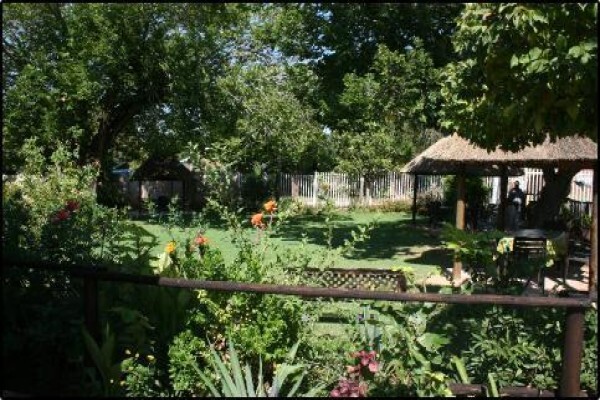 Pieter Van Niekerk Pest Control