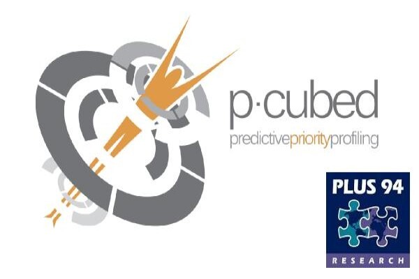 Plus 94 Research (Pty) Ltd