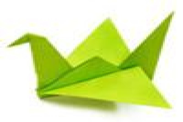 Language Inc