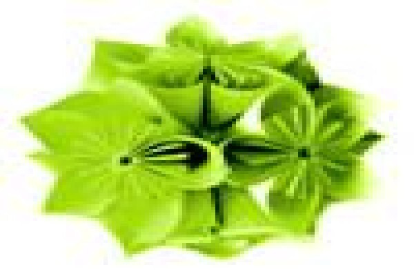 Language Inc