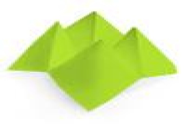 Language Inc