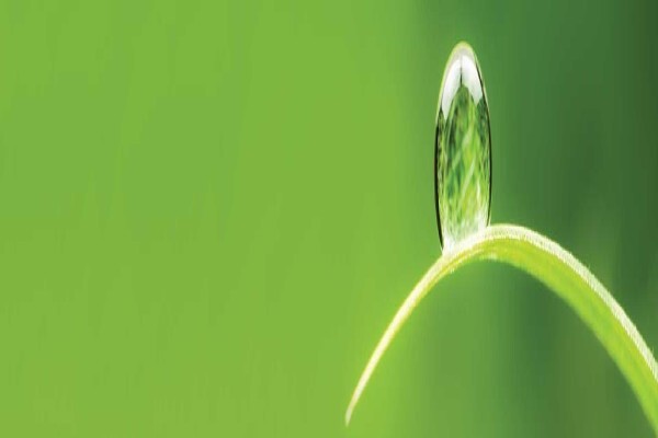 Arysta Lifescience South Africa (Pty) Ltd