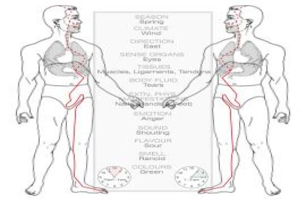 The International Academy of Reflexology & Meridian Therapy (Pty) Ltd