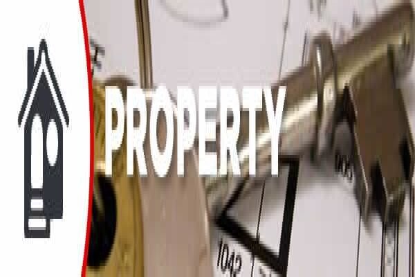 Michael James Auctioneers (Pty) Ltd