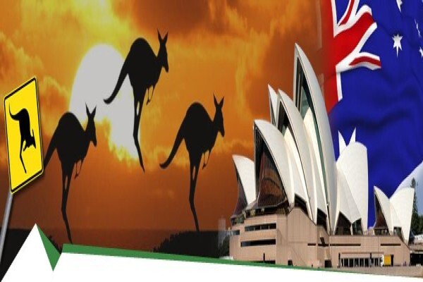 PM Immigration Consultants