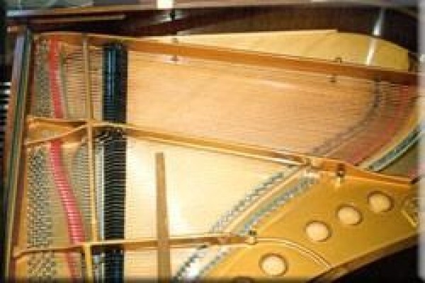 Piano World