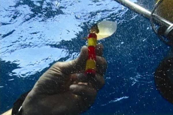 S A Institute For Aquatic Biodiversity