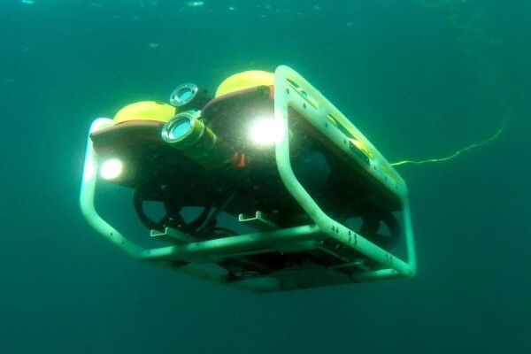 S A Institute For Aquatic Biodiversity