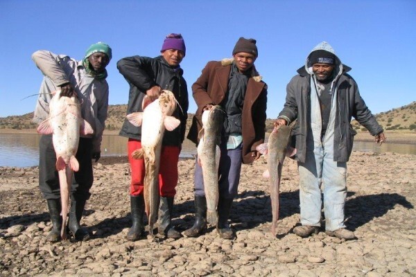 S A Institute For Aquatic Biodiversity
