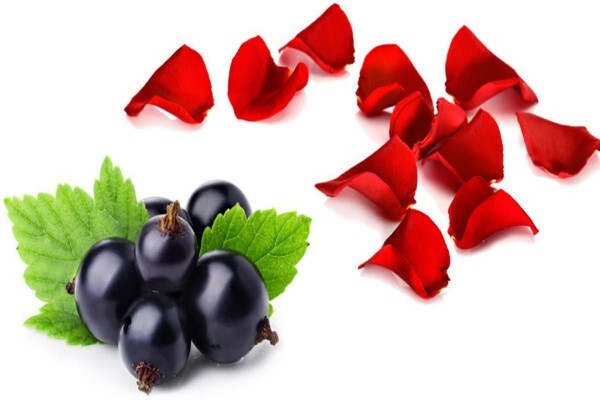Puris Natural Aroma Chemicals (Pty) Ltd